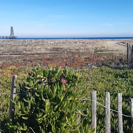 Charmante Climatisee 4 Pers, Terrasse, Parking, Proche Et Port - Fr-1-798-48 *